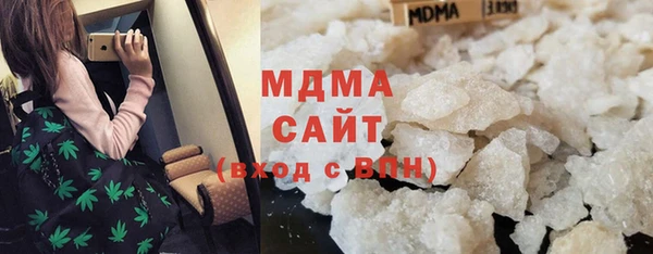 индика Новодвинск