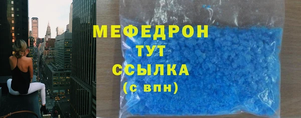индика Новодвинск