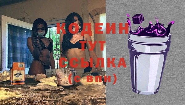 индика Новодвинск