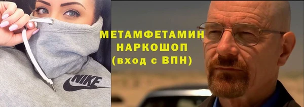 индика Новодвинск