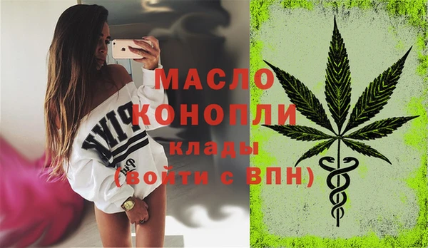 индика Новодвинск