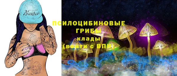 дурь Нефтегорск