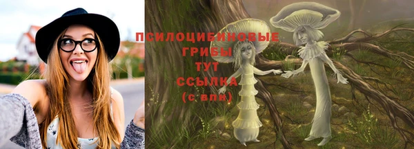 индика Новодвинск